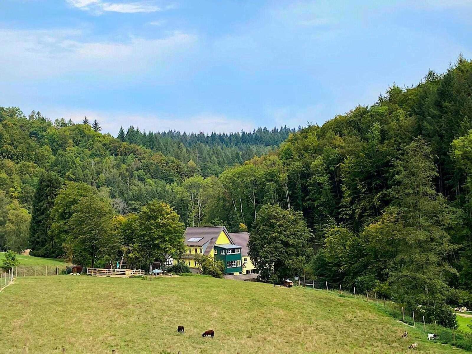 Siegelsbacher Muehle Zewnętrze zdjęcie